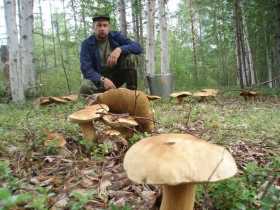 чульбю