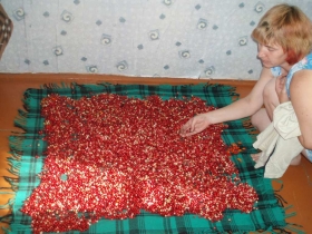 чульбю