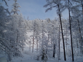 зима на чульбю
