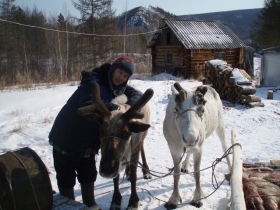 приехали оленеводы