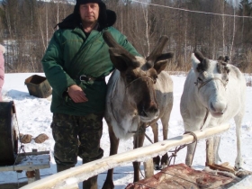 приехали оленеводы