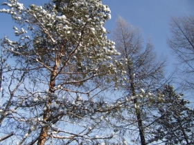 чюльбю