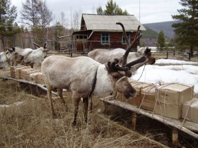 чюльбю