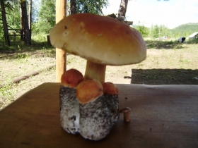 чульбю