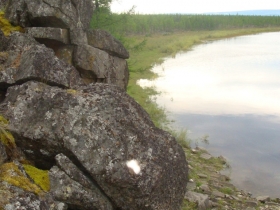разное