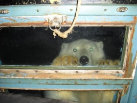 разное