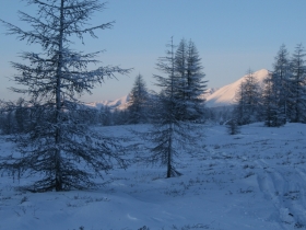 разное