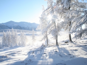 разное