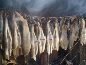 копчёный хариуз и ленок