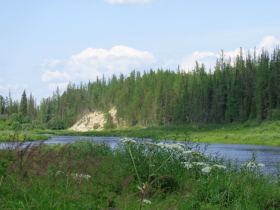 камака
