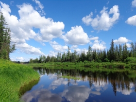 камака