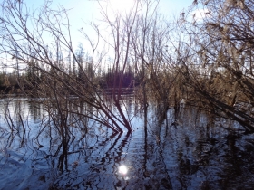 камака