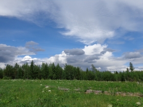 камака