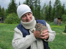 камака