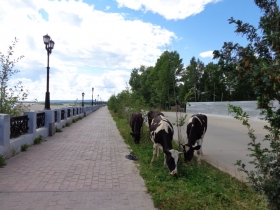 ленск